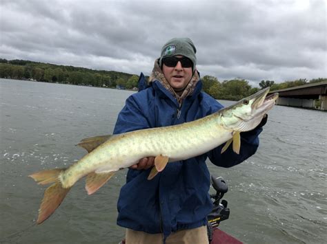 Musky, Tiger Musky & Pike (ESOX) .